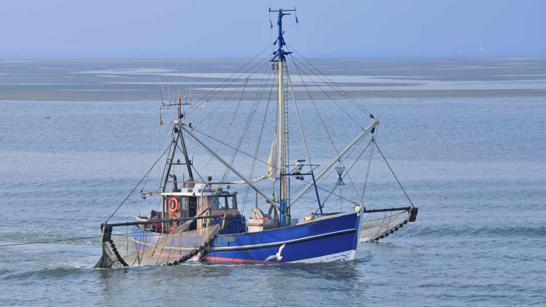 Pescatori di granchi in difficoltà: tra premi alla rottamazione e paure esistenziali