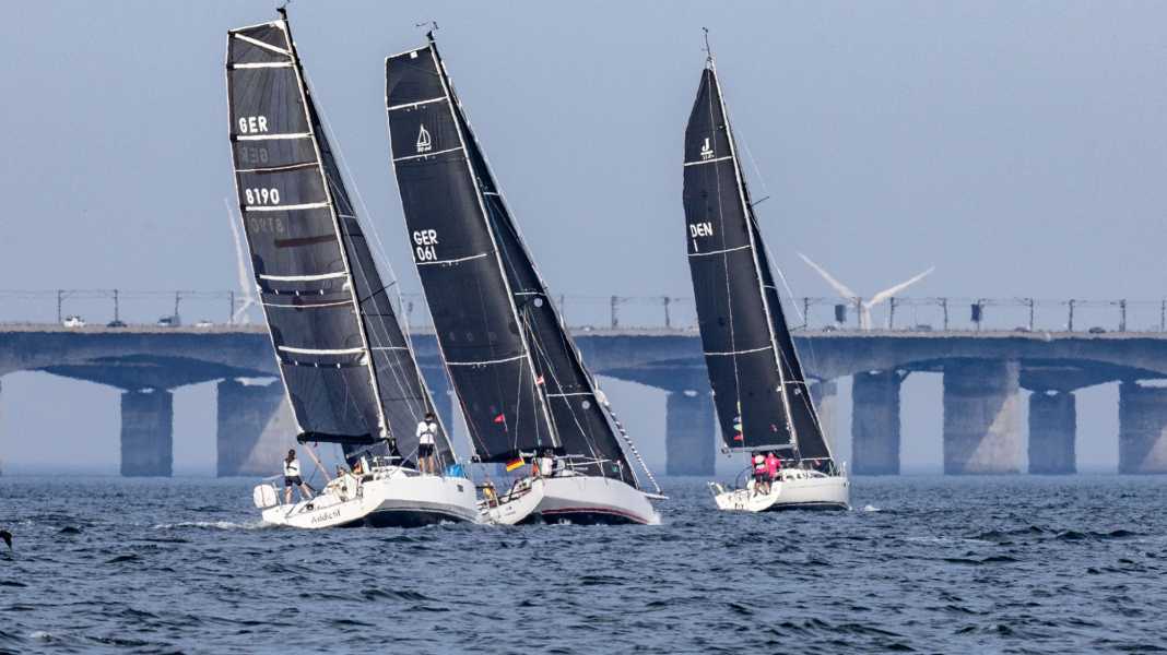 Vegvisir Race 2026: vento forte e possibilità di nuovi record