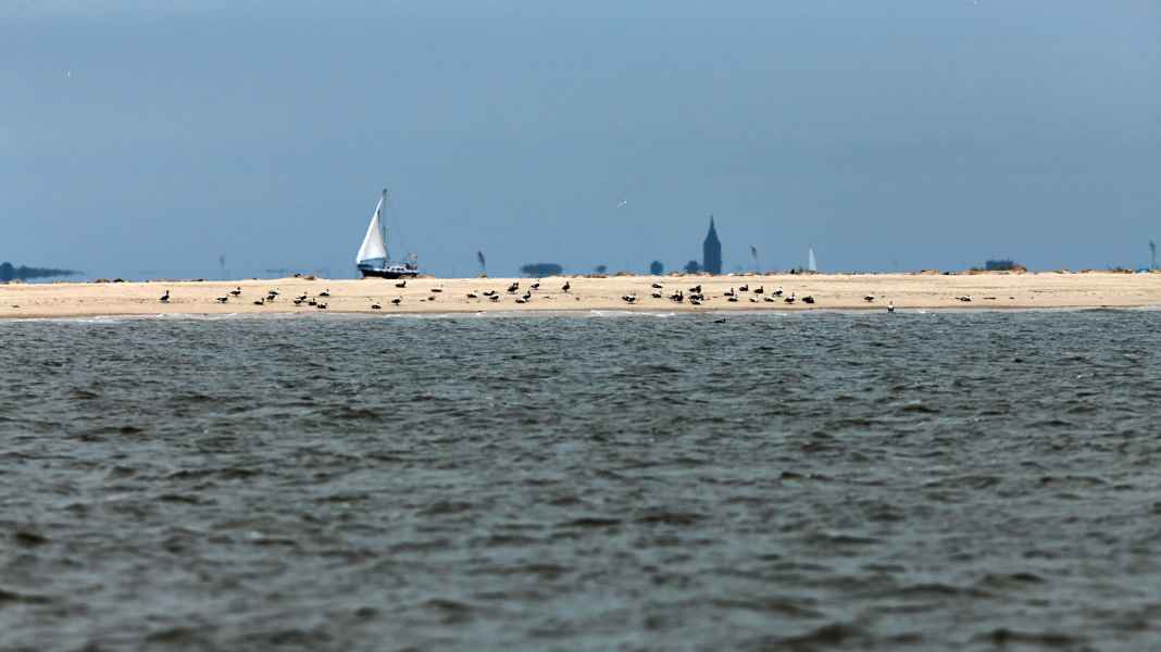 Meeresschutz: Kontrollieren bald Ranger auf Nord- und Ostsee?