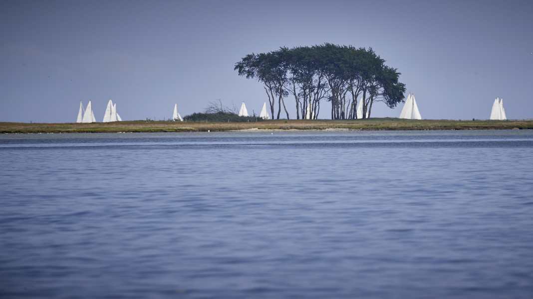 Nationalpark Ostsee: Konsultationen mit Seglern beendet, jetzt entscheiden die Politiker