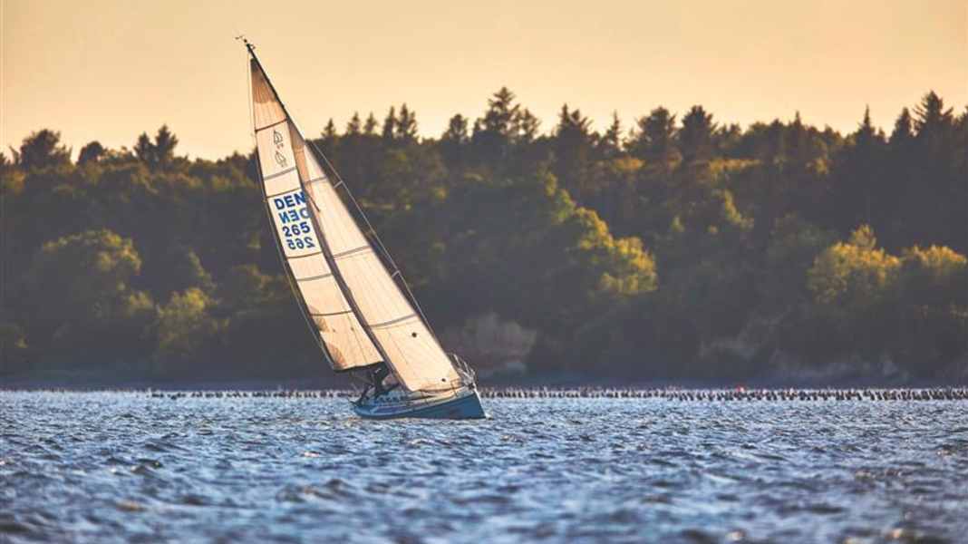 Danimarca: la regata del Limfjord attira piccoli equipaggi