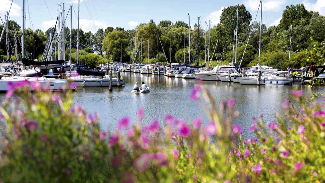 Zum Saisonbeginn: Revierupdate Nordsee 2 - Jade und Weser