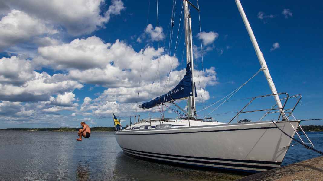 Vibrionen in fast allen Proben: Neue Untersuchung an Ostsee und Schlei