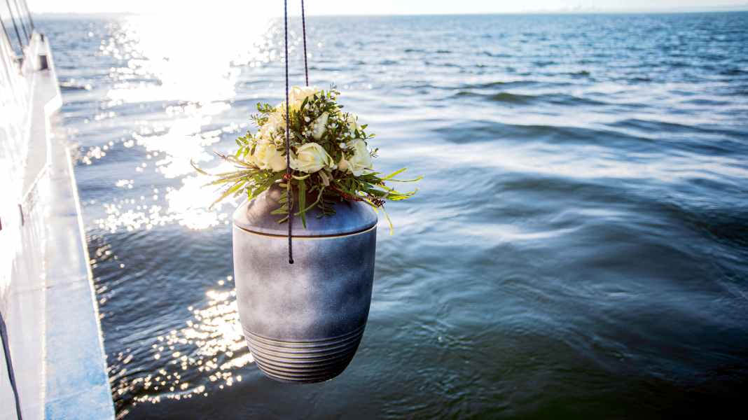 Chronique : L'amitié entre marins – Que reste-t-il quand l'un d'entre eux quitte le navire ?