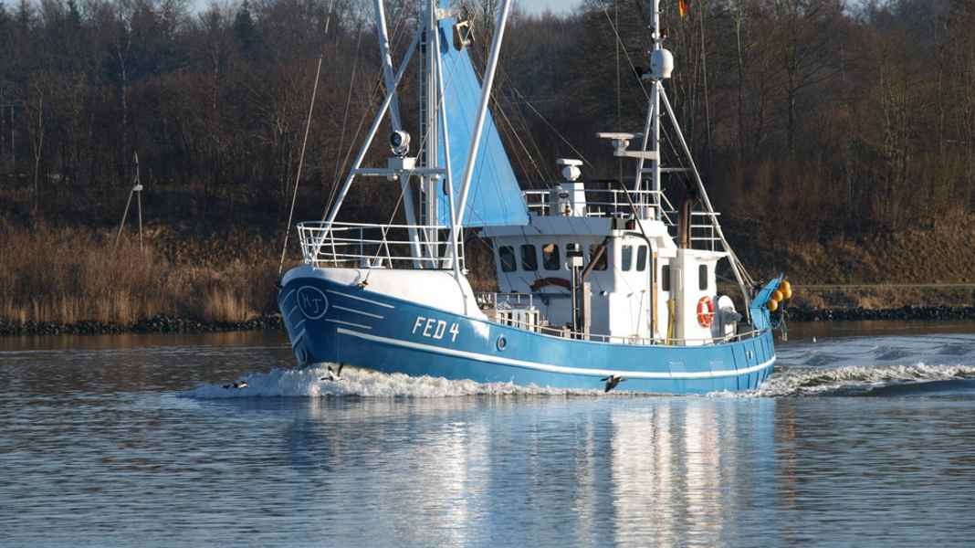 Interview: Are recreational skippers actually too reckless?