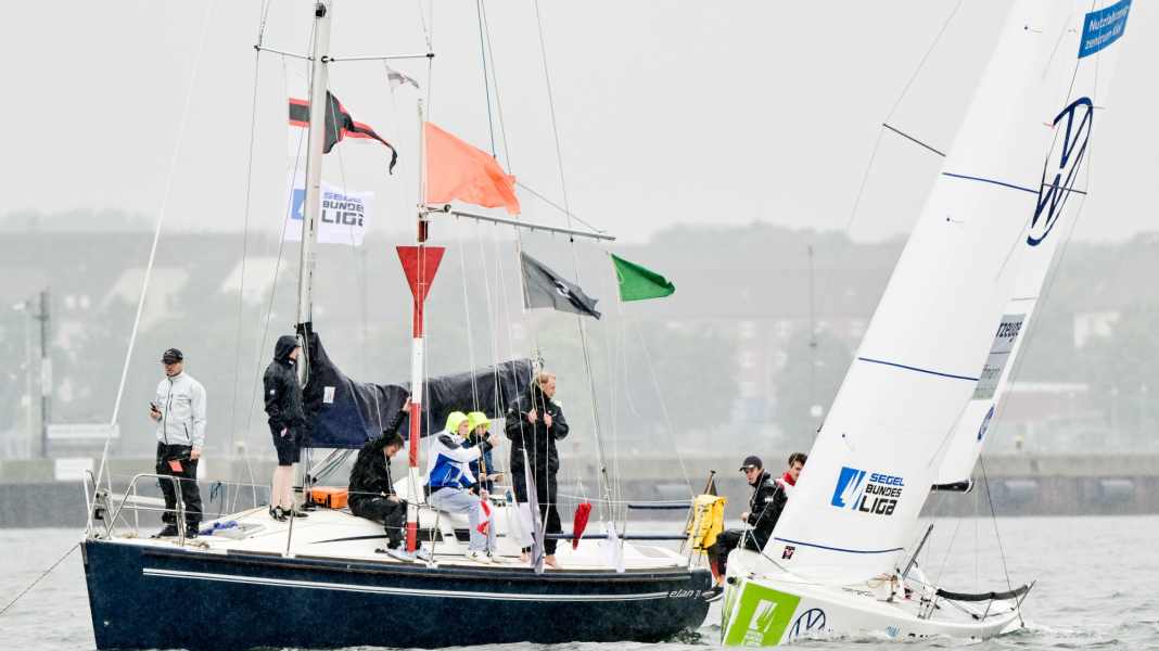 Racing: DSV amends its training and licensing regulations