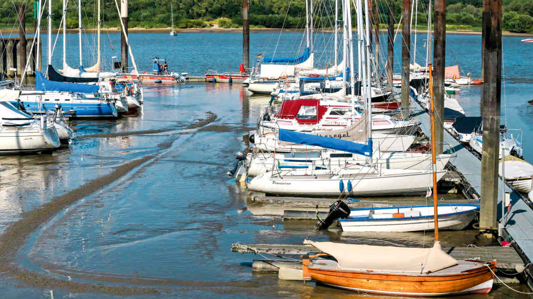 Area velica del Basso Elba: preoccupazioni all'inizio della stagione - i velisti lottano contro l'insabbiamento dei loro porti