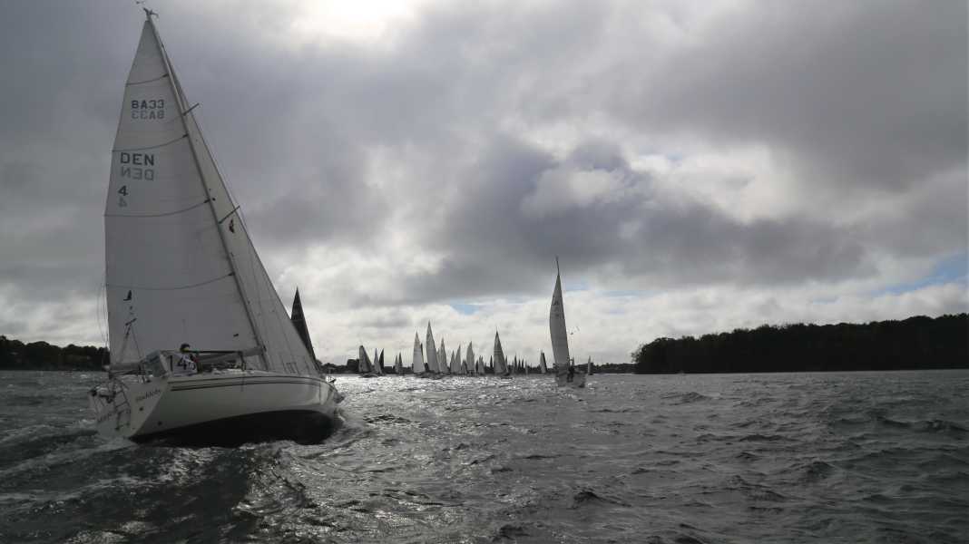 Silverrudder: Boote, Böen und Bruch