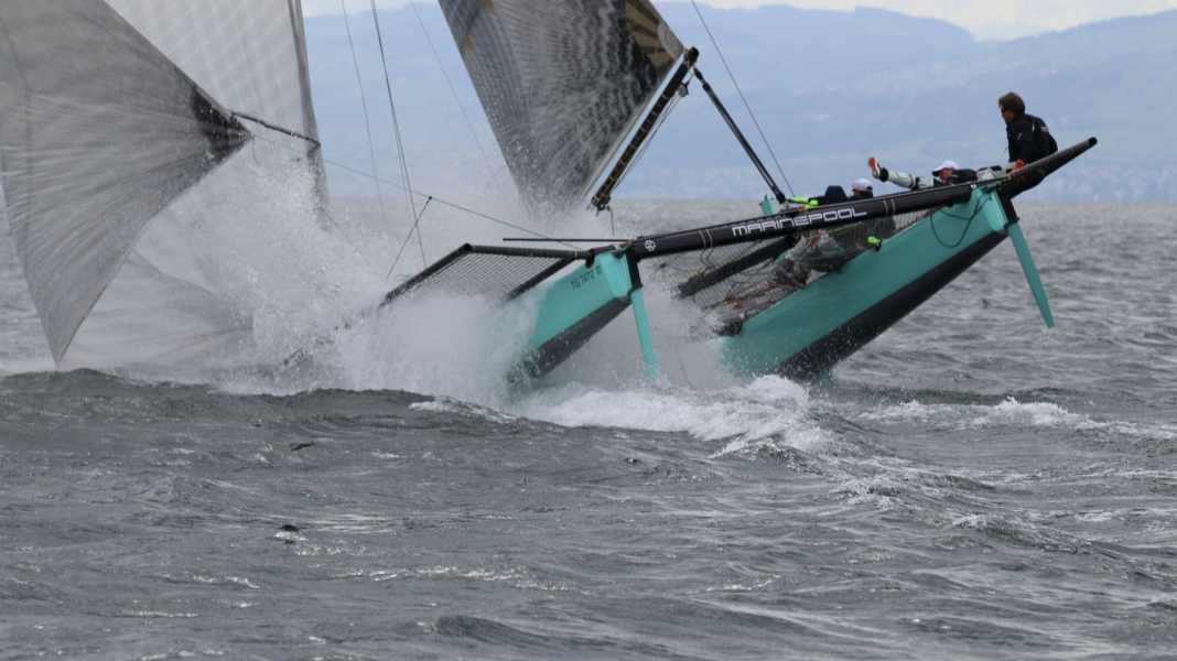 Photo series of a cat capsize: Easter training with rollover - the complete photo sequence