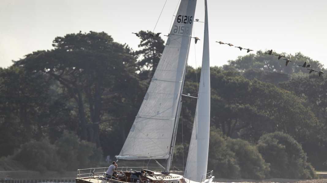 Spirit 47CR: acceleratore di battito sotto vela