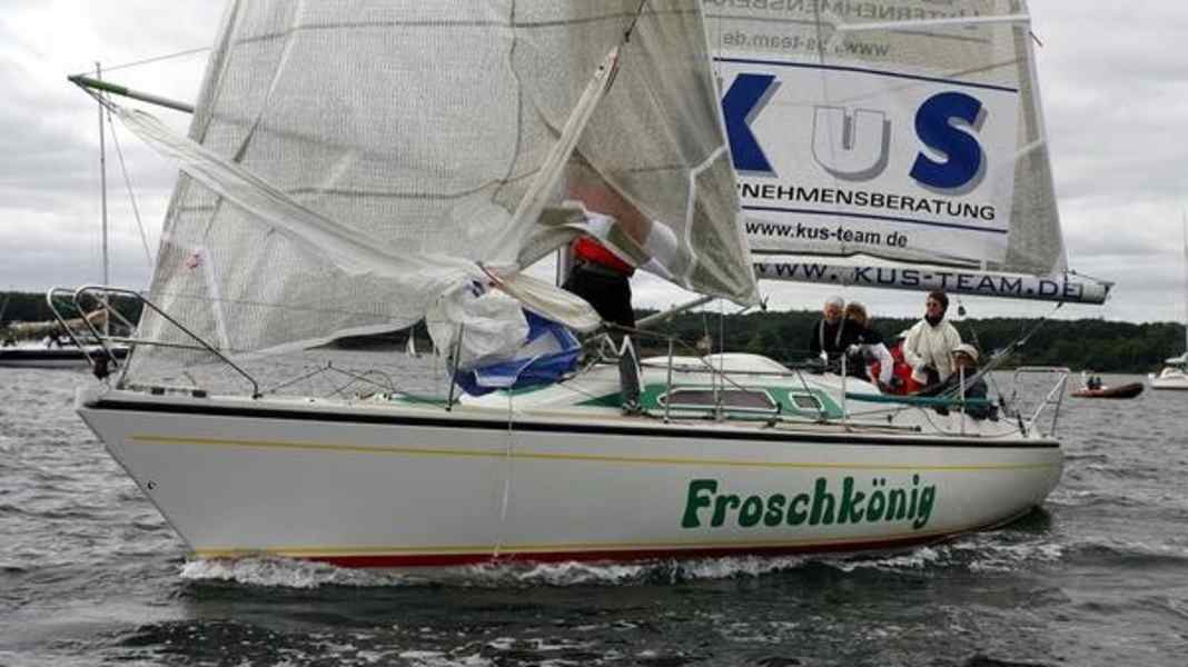 Novità sulla regata: la favola del "Re Ranocchio"