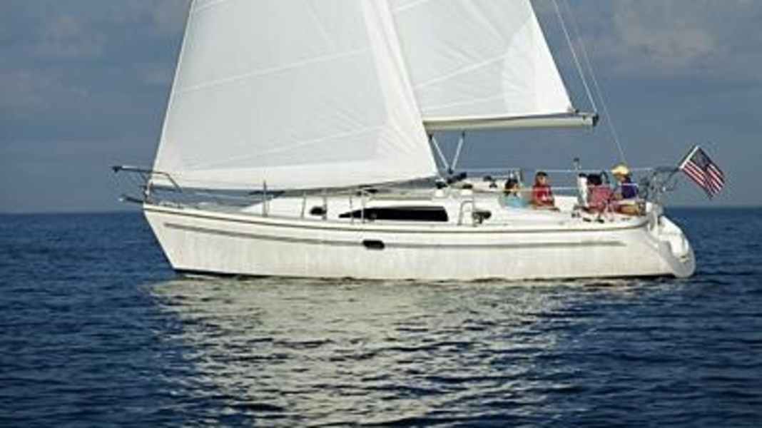 T&T - Actualités : Catalina 309