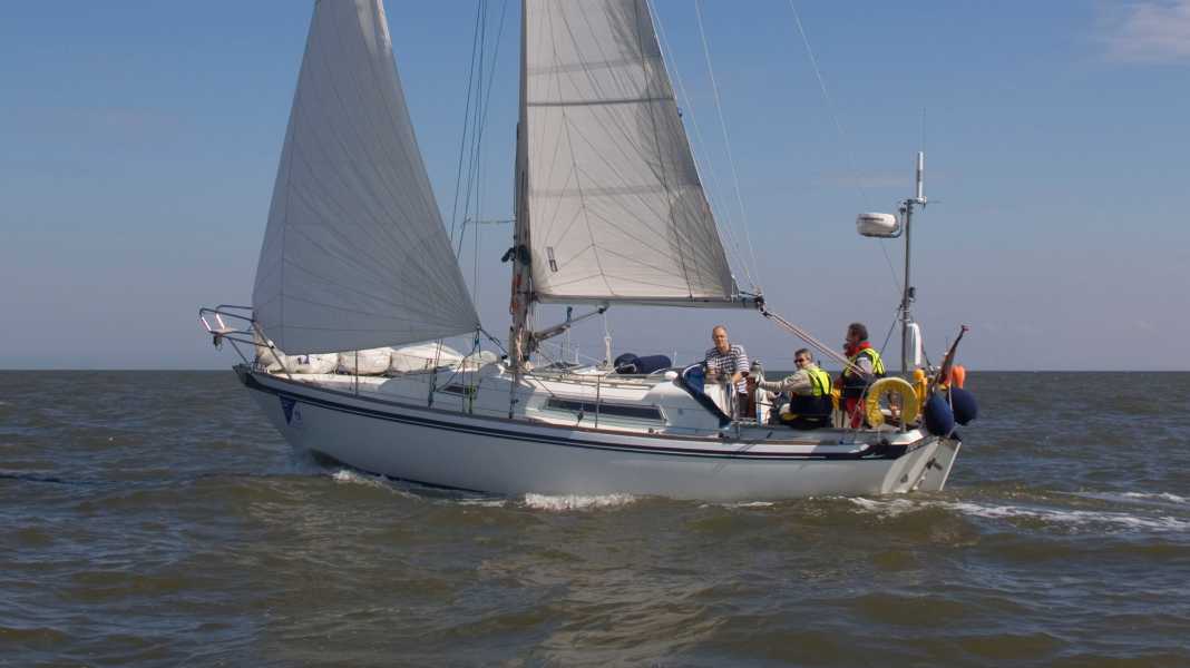 Semaine de la mer du Nord : grande finale pour les petits