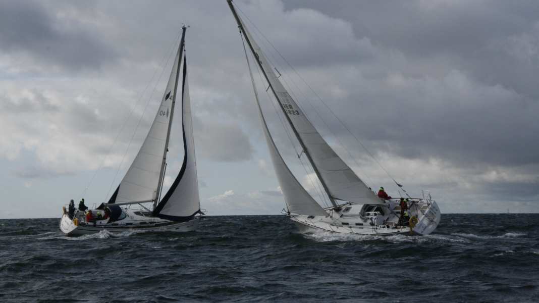 Fun regatta: Offshore sailing as a popular sport