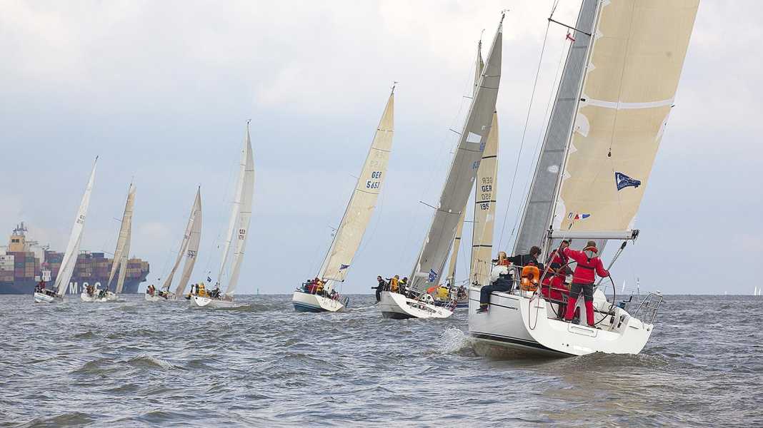 Nordseewoche: Meldelust trotz Winterstarre