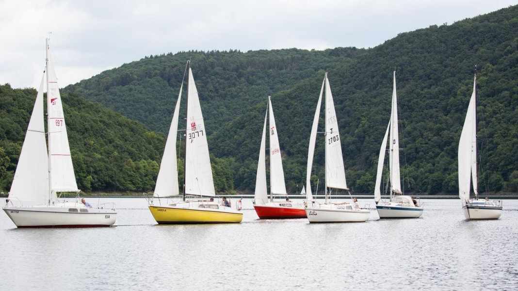 Spécial petits croiseurs : petits croiseurs, grand plaisir