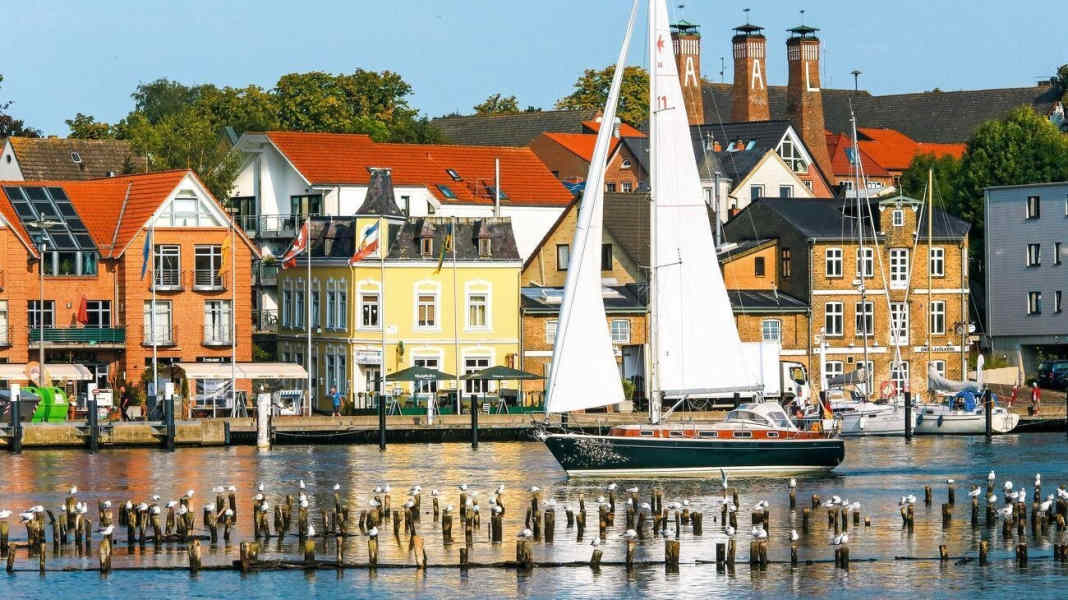 Journey: The Schlei: a perfect microcosm