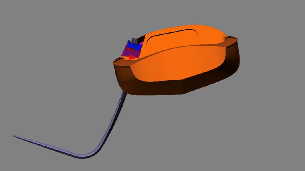Bootsbau: Regnoc – eine Idee soll fliegen
