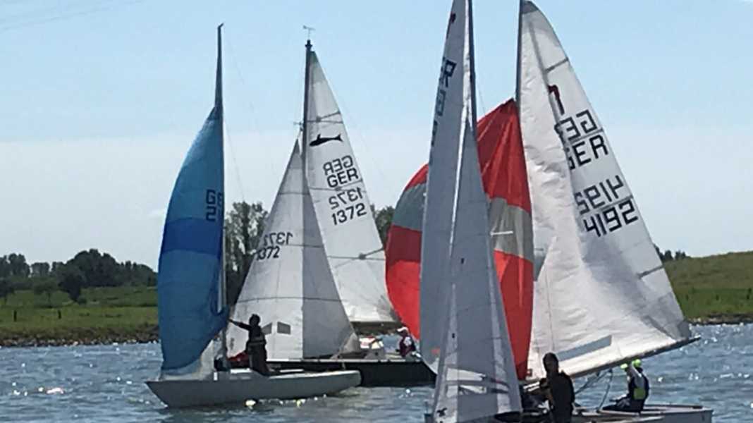100th Rhine Week: Europe's longest river regatta celebrates its anniversary