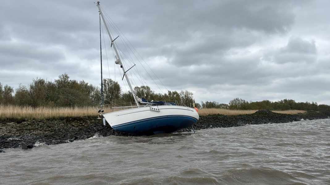 ​Glückstadtregatta: Was auf der Elbe wirklich passiert ist