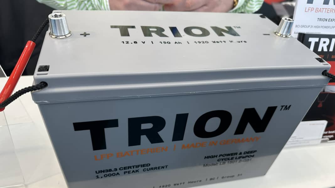Electrics: Trion T-Rex, German-made lithium battery for consumer and motor