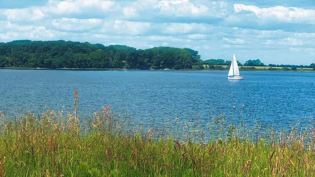 Aktionsplan Ostseeschutz: Ab sofort strenger Schutz in drei neuen Gebieten