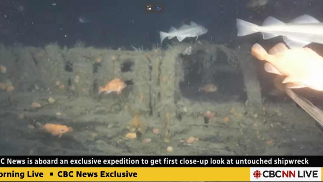 Shackleton’s Todesschiff: ​Erstmals Bilder vom Wrack der „Quest“