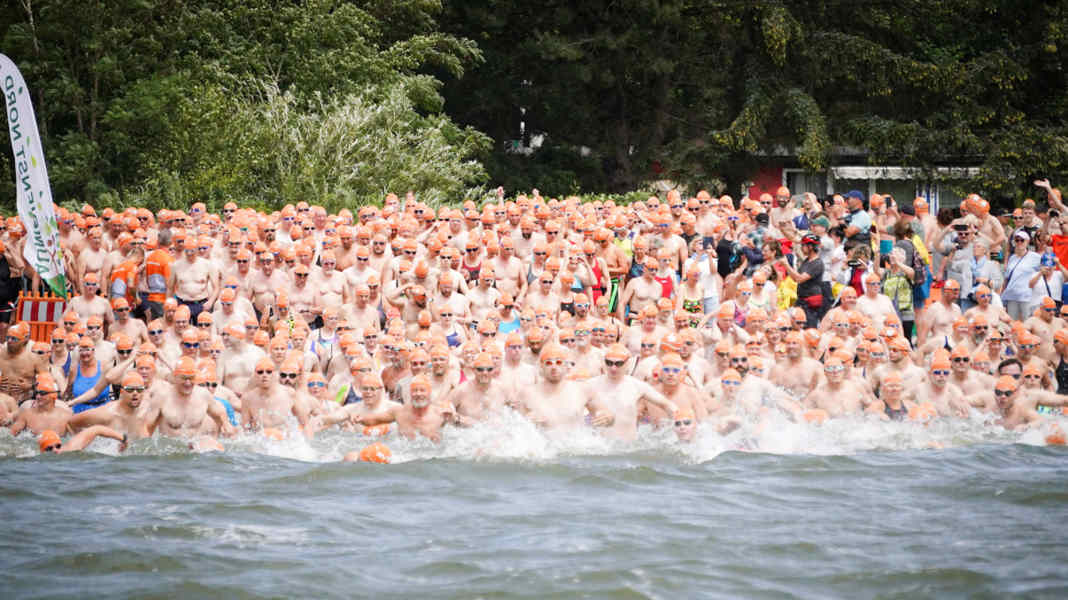 Rügen: Sundschwimmer feiern 60. Jubiläum - Vorsicht im Fahrwasser!