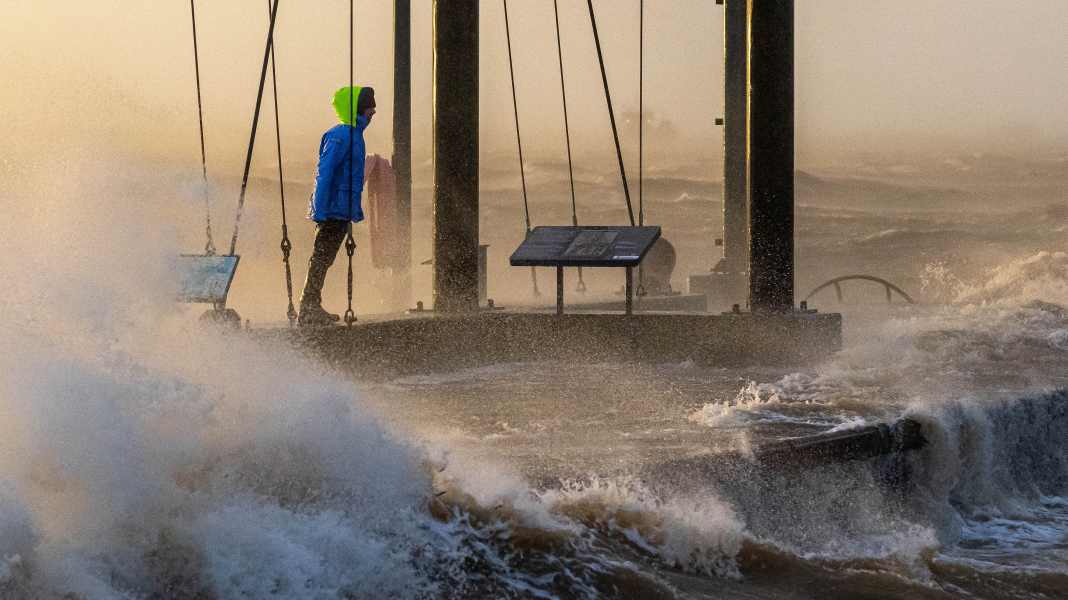 Tempête "Zoltan" : la tempête de vaches, une aubaine pour la mer Baltique