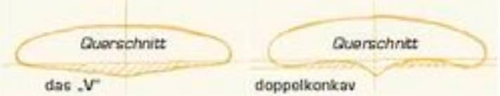 Das Unterwasserschiff