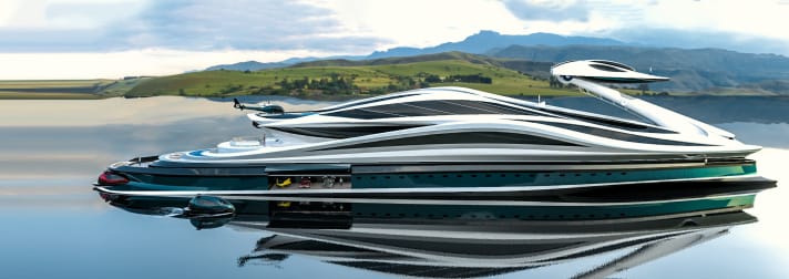 Side view: The superstructures also have "bird genes". | ".