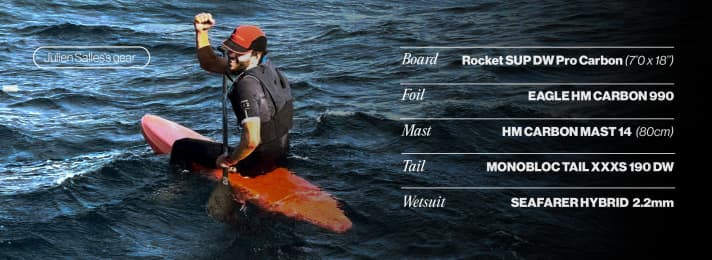 sup/la-diagonale-du-lion-83_bf375cbae6083429b23387e1205f7802