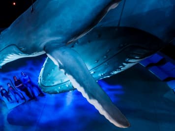 Maritime Museen - sechs Highlights