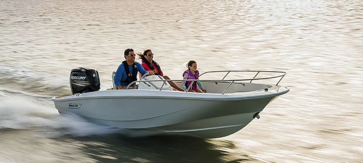 Boston Whaler 160 Super Sport