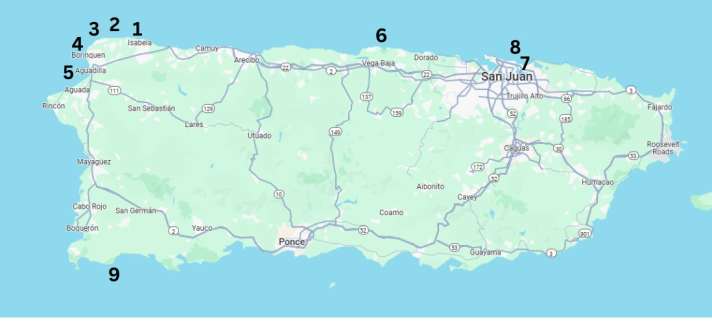 surf/1-1_0f9331f3eec1e24e14bb792cec71dc7e