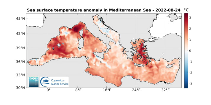 Die Karte zeigt, dass große Areale des Mittelmeeres teils bis zu drei Grad über dem langjährigen Durchschnittstemperaturen liegen | Grafik SOCIB/Copernicus Marine Service