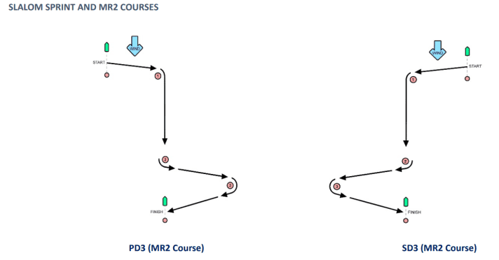 Examples of slalom courses