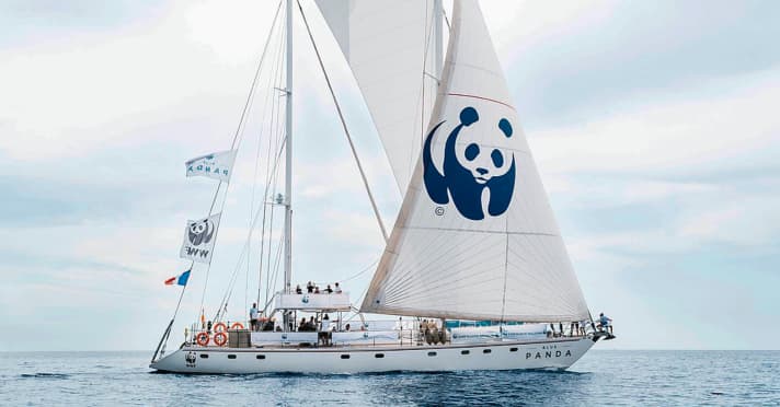 Tiefseelebensräume und -arten im Mittelmeer erforschen sowie für Schutzprojekte bei den Menschen vor Ort werben, dafür nutzen die Tierschützer ihren blauen Seebären | WWF