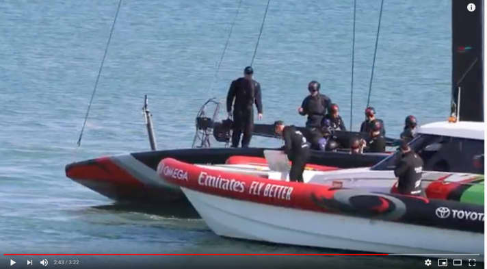   À quel système servent les tuyaux au bout de l'arbre ?