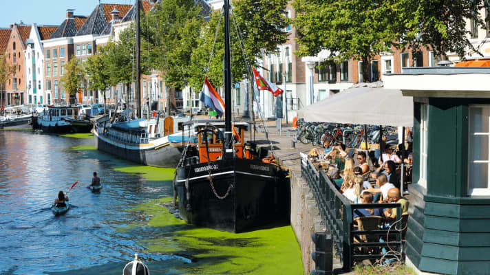 	The trip on the Reitdiep is one of the highlights of the journey. The waterway leads to the centre of Groningen