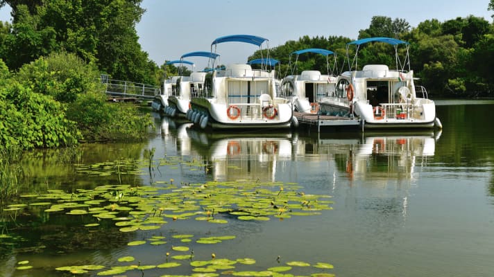 Die neue Nicols-Charterflotte am Fluss Bodrog in Tokaj