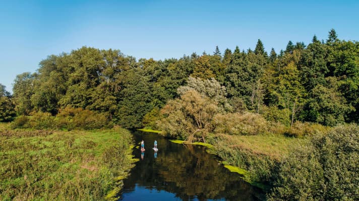 Zwischen Preetz und dem Rosensee erstrecken sich ausgedehnte Auwälder.