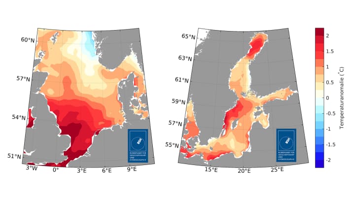 Die Abweichungen der Oberflächen-temperatur in Nord- (links) und Ostsee (rechts) im Sommer 2026