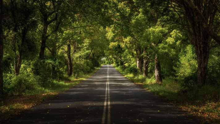 2021_04_Obi-Obi-Road
