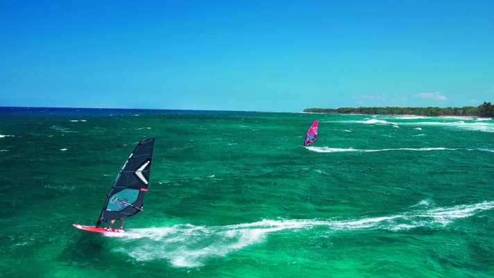 Encuentro: Constant trade winds for the 5.0 sail, plus blue water in front of palm-fringed beaches - the Dom Rep fulfils all the Caribbean clichés.