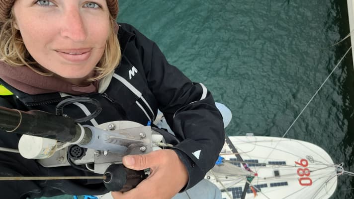   Lavoro in barca in cima all'albero. Gli skipper non devono avere paura delle altezze