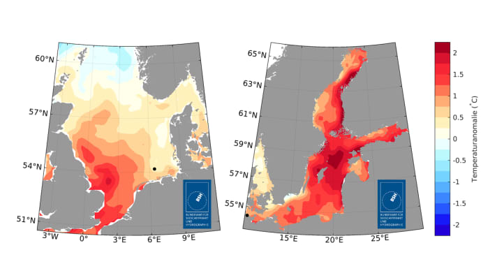 Deviazioni della temperatura superficiale del Mare del Nord e del Mar Baltico nell'estate 2022 | Foto BSH