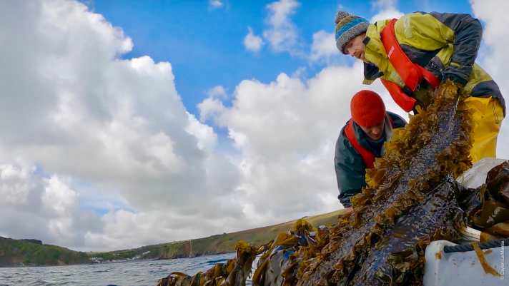 yacht/kelp-21-caylonlamantia_e7262c4d00a18f8a489d2377138140dc