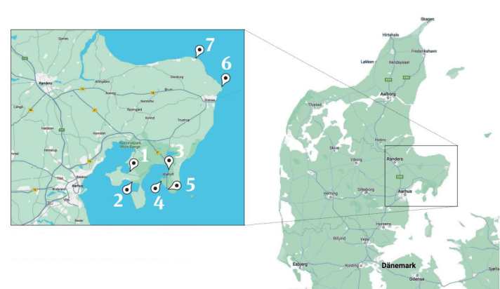 Djursland is extremely exposed to all wind directions. The shallow water spots are located in the southern part of the peninsula, while wave fans are particularly well catered for in the north-east.