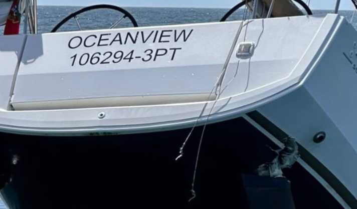 L'attacco delle orche alle pale del timone della Sun Odyssey ha provocato un grosso foro nello scafo. | Schermata: terraincognita.pt